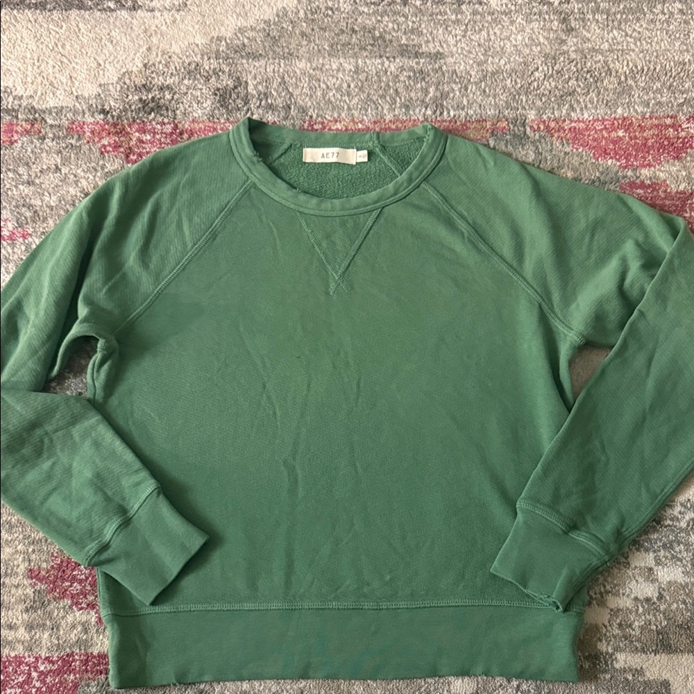 Aerie Green Crewneck Sweater